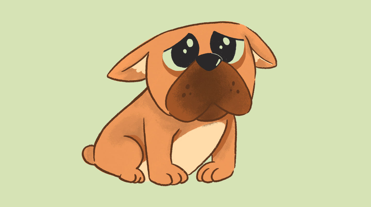 Image of blog post Is Your Dog Struggling with Seasonal Allergies?