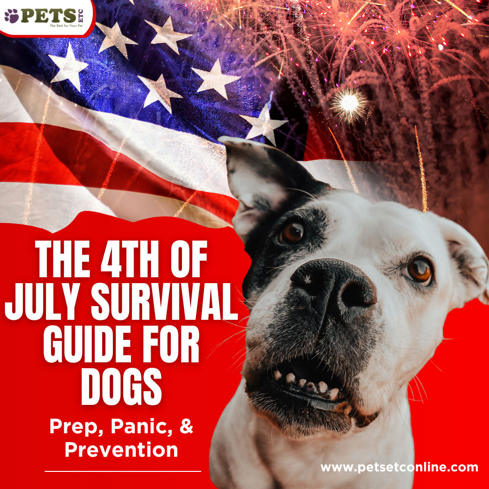 The 4th of July Survival Guide For Dogs: Prep, Panic, & Prevention