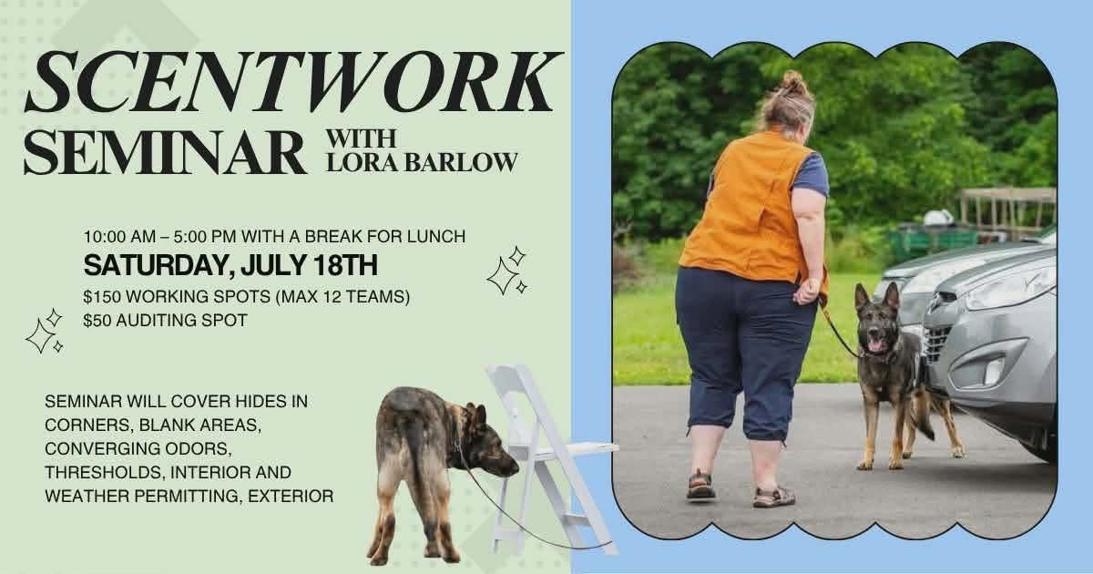 Image of Local Pet Event Scentwork Skills With Lora Nearby