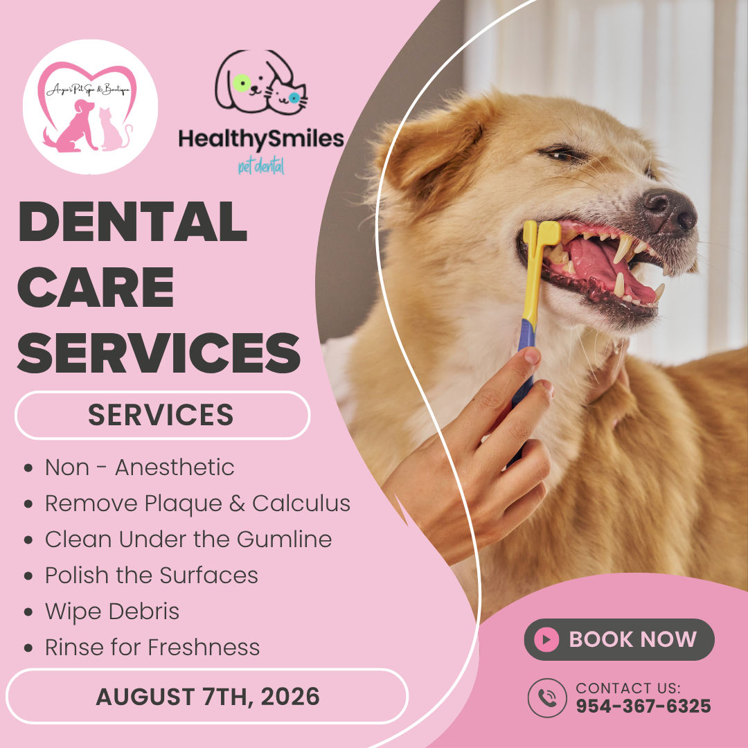 Image of Local Pet Event Non - Anesthetic Pet Dental Friday Nearby