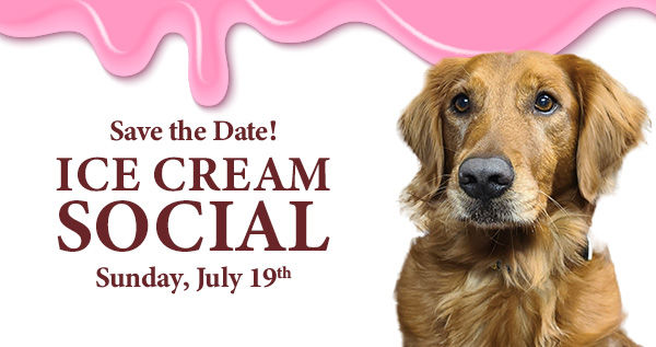 Image of Local Pet Event Ice Cream Social at Paws Inn Pet Essentials Nearby