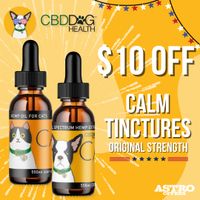 Image of CBD Dog Health | $10.00 OFF CALM Original Strength Promotion in Spokane