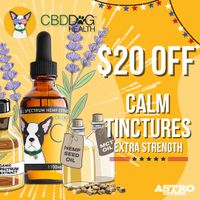 Image of CBD Dog Health | $20.00 OFF CALM Extra Strength Promotion in Spokane