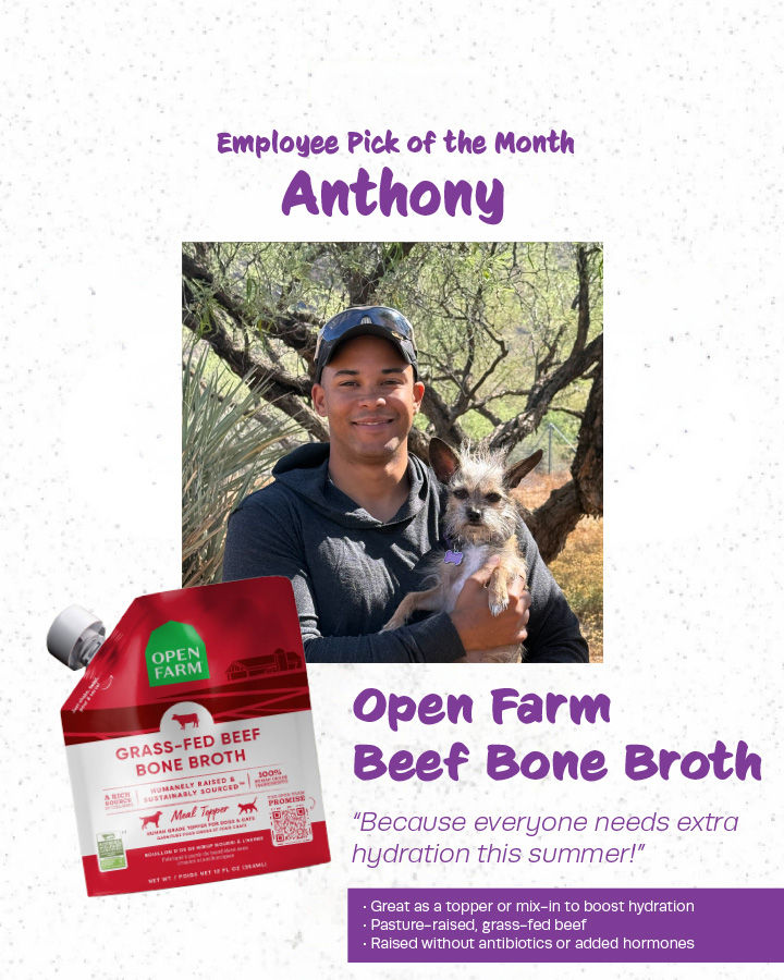 Employee Pick of the Month: July 2026