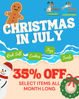 Image of Christmas in July Sale!! Promotion in Chicago