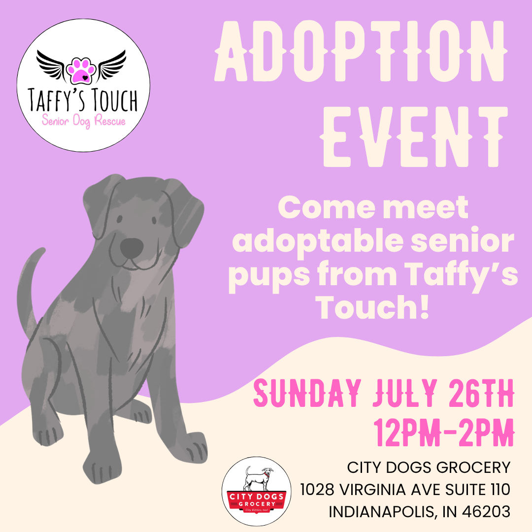Image of Local Pet Event Taffy's Touch Senior Dog Rescue Adoption Event Nearby