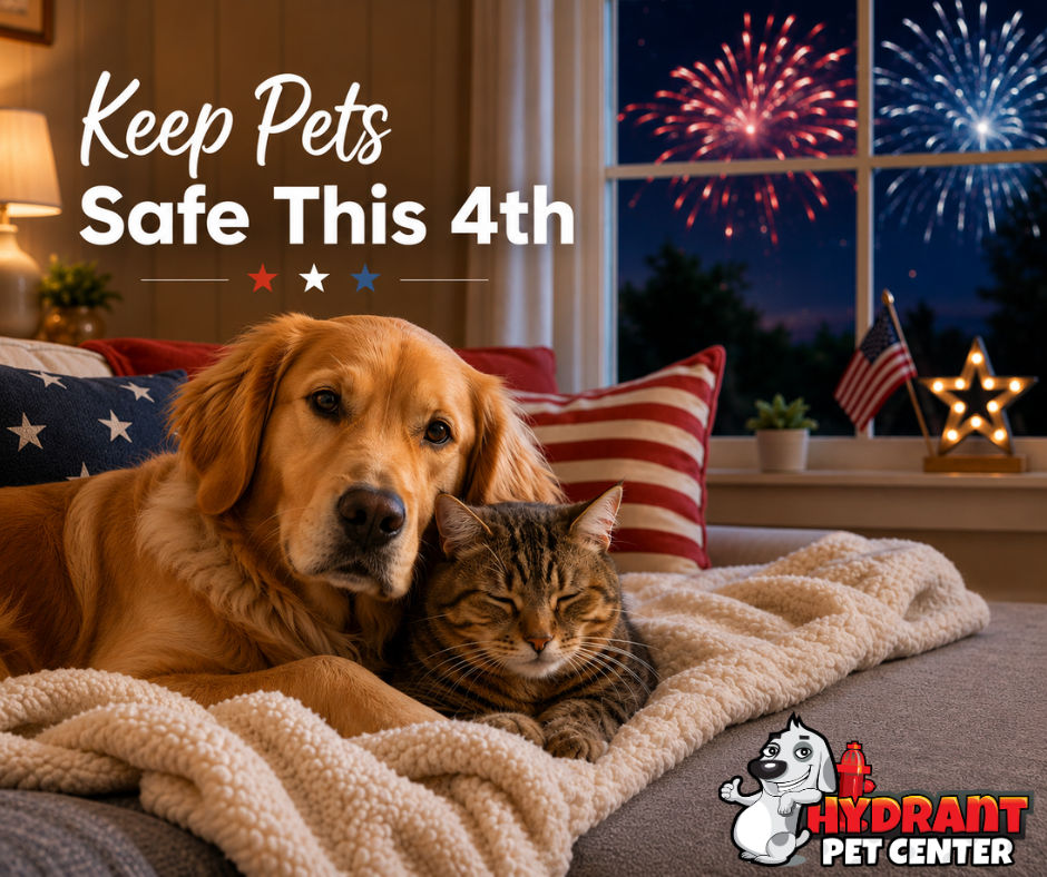 Keep Pets Safe This 4th of July