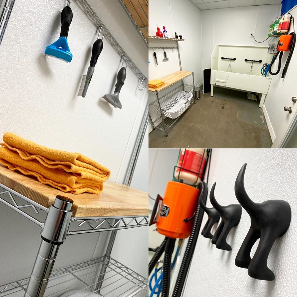 Bath Station Reopening Carbondale, Illinois