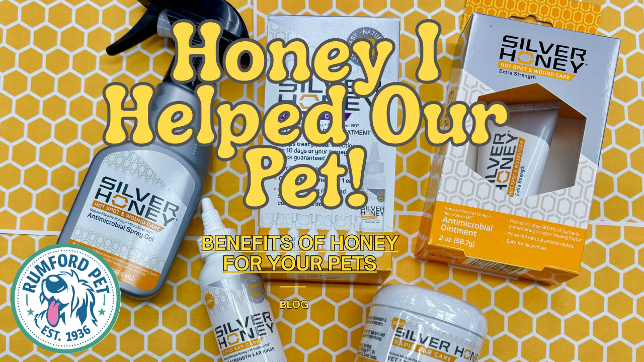 Honey, I Helped Our Pet! - Benefits of Honey for Your Pets