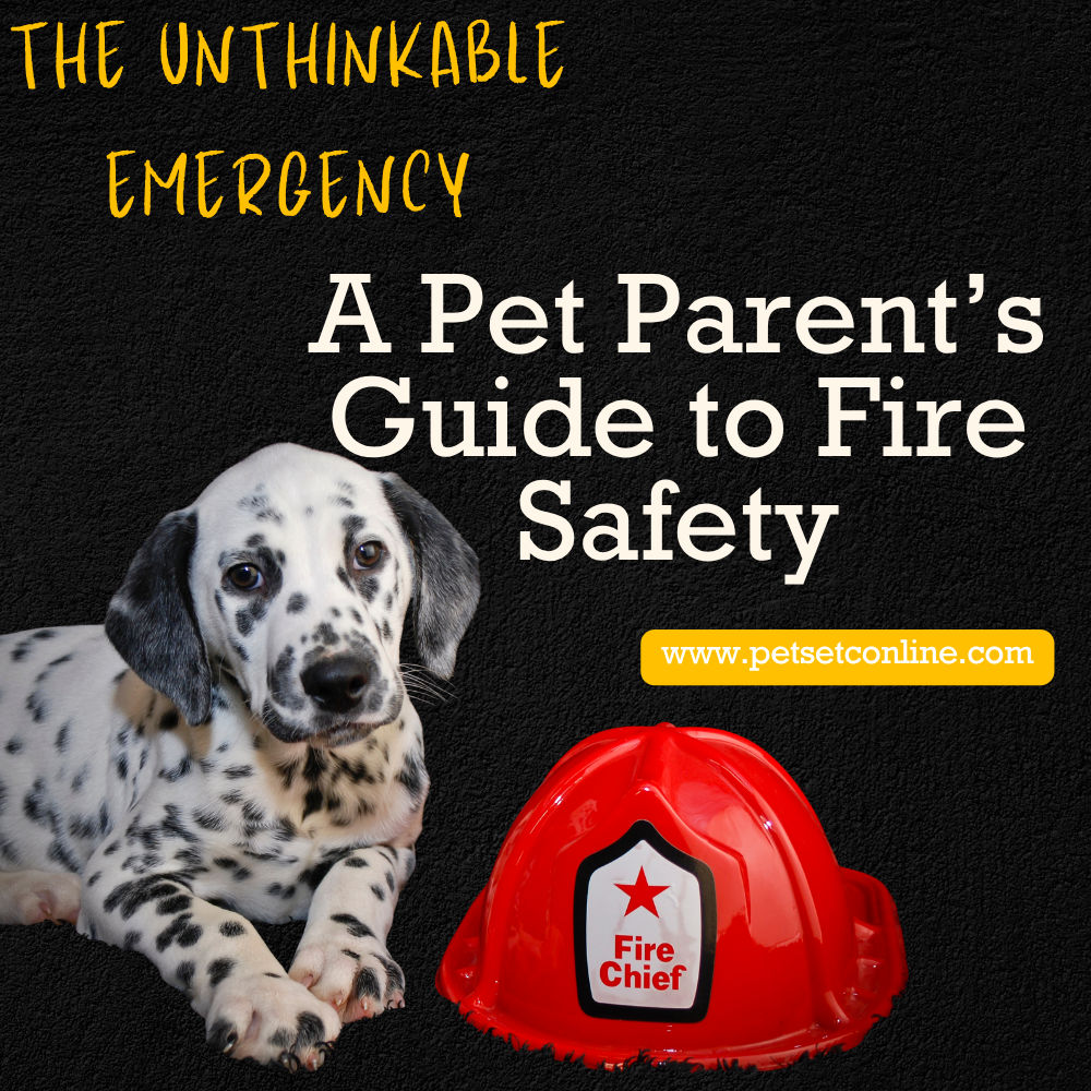 The Unthinkable Emergency: A Pet Parent’s Guide to Fire Safety