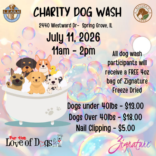 Image of Local Pet Event Charity Dog Wash Event Nearby