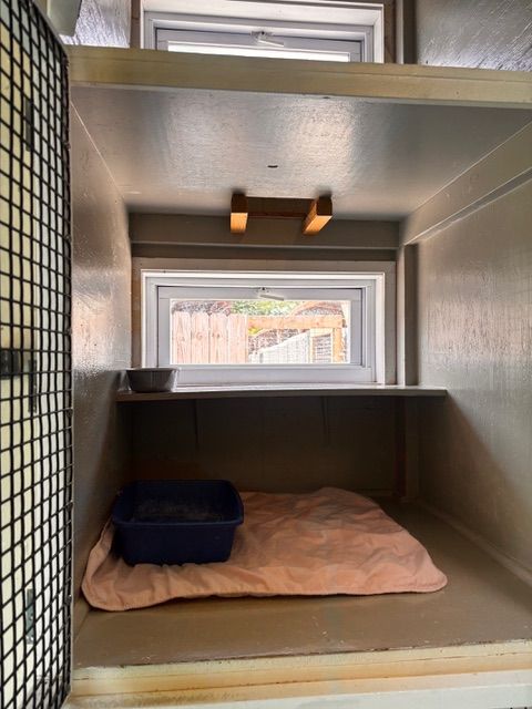Cat kennel room