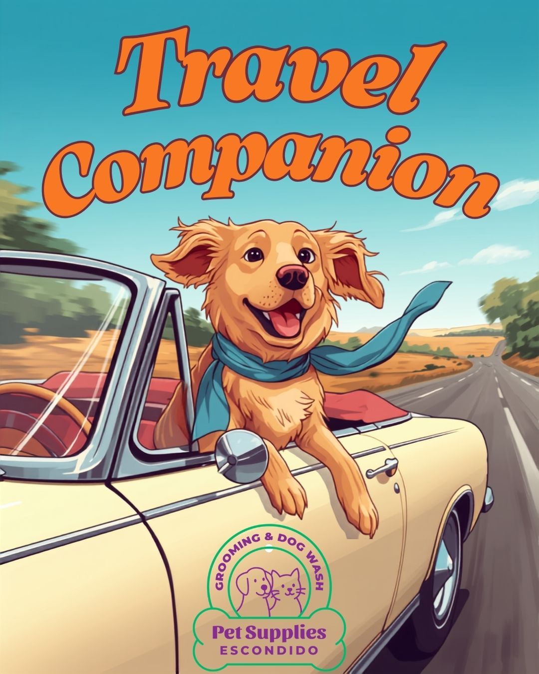 Traveling With Pets This Summer: Your Essential Guide for Stress Free Adventures