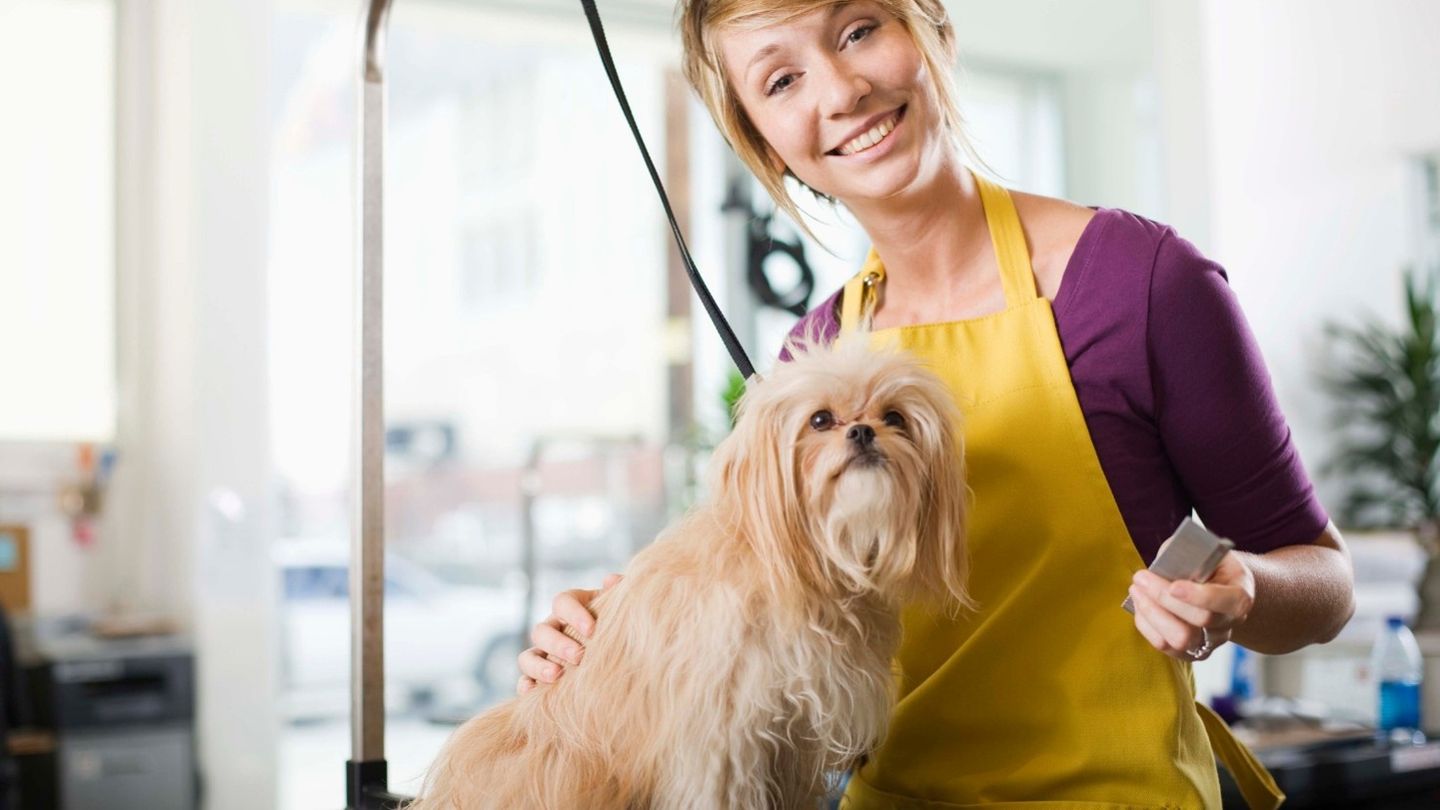 How to Choose a Dog Groomer You Can Trust