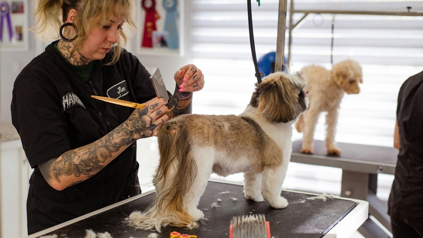 Pet Grooming in Kansas City