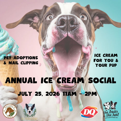 Image of Local Pet Event Ice Cream Social Event Nearby