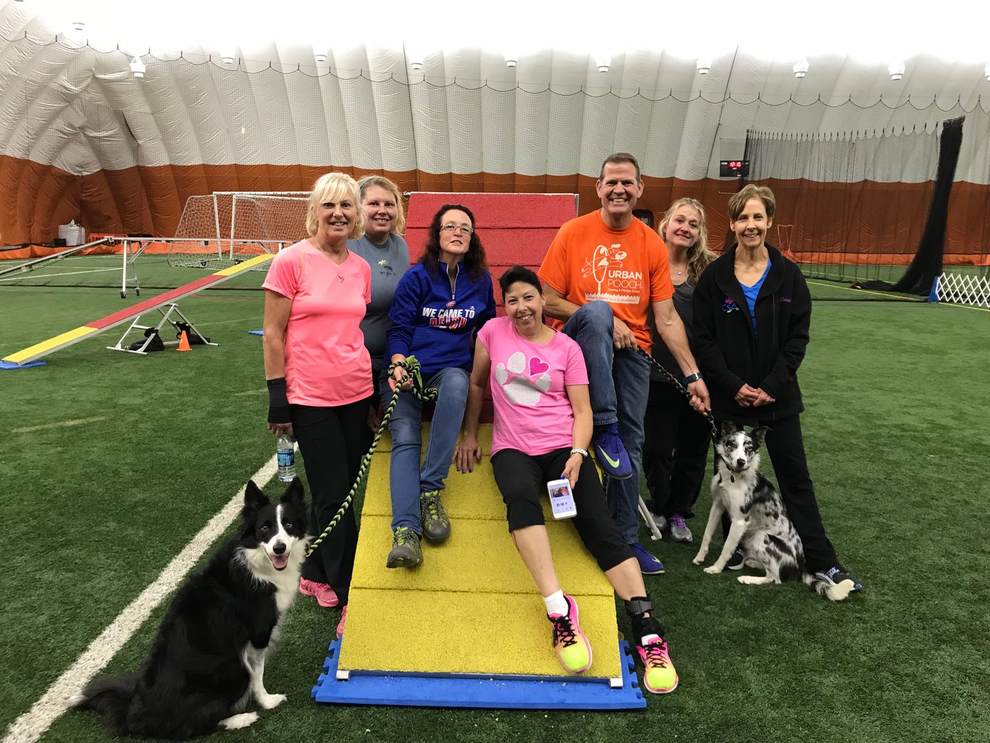 Agility Classes - Twin Cities Obedience Training Club