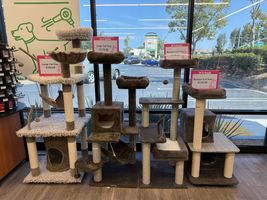 Image of Cat Trees at Great Prices! Promotion in Escondido