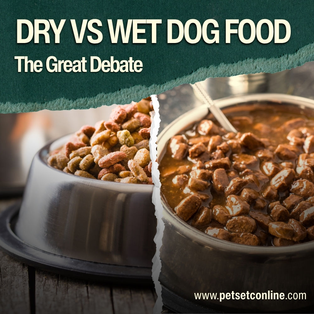 Dry vs Wet Dog Food: The Great Debate