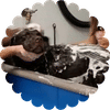 Dog Wash