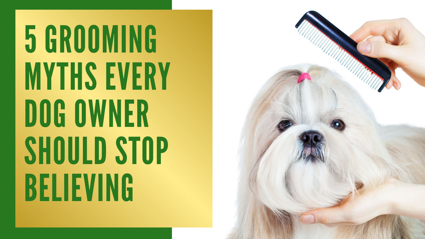 5 Grooming Myths Every Dog Owner Should Stop Believing
