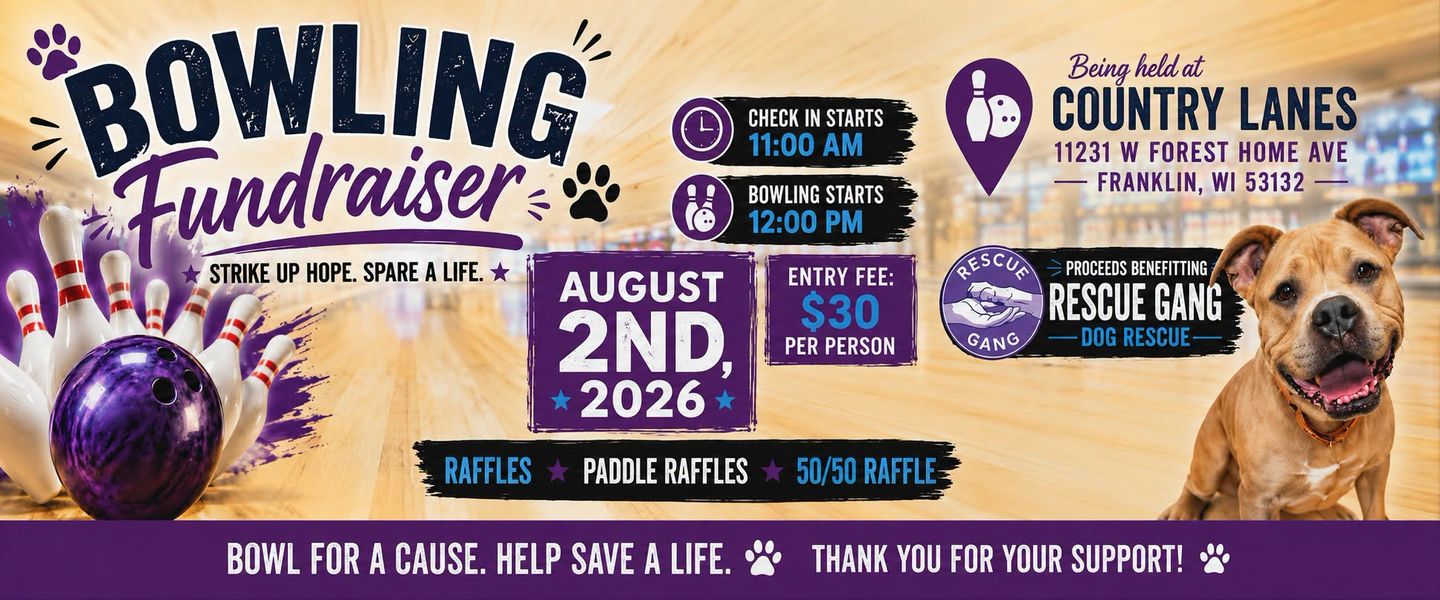 Image of Local Pet Event Rescue Gang Fundraiser Nearby