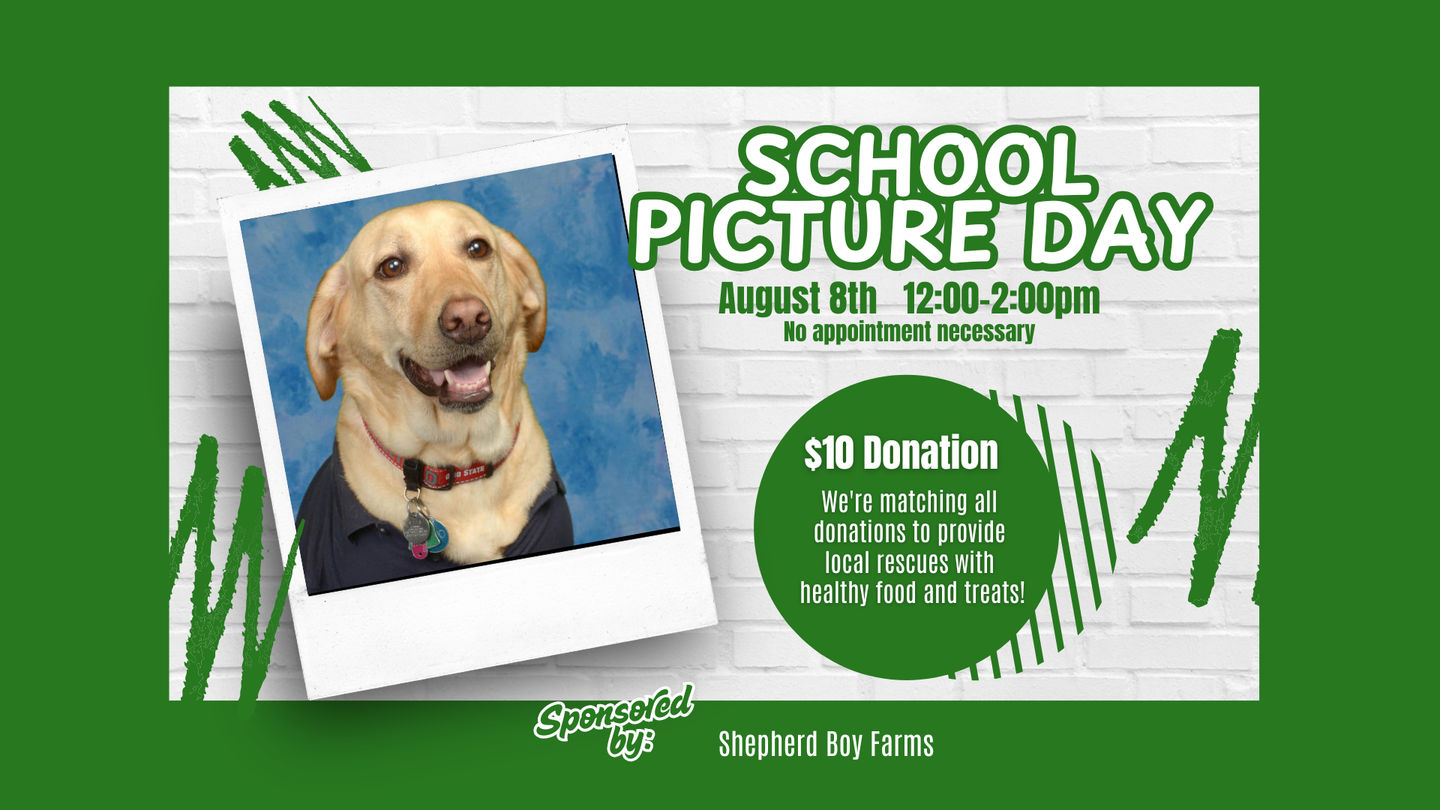 Image of Local Pet Event School Picture Day Nearby