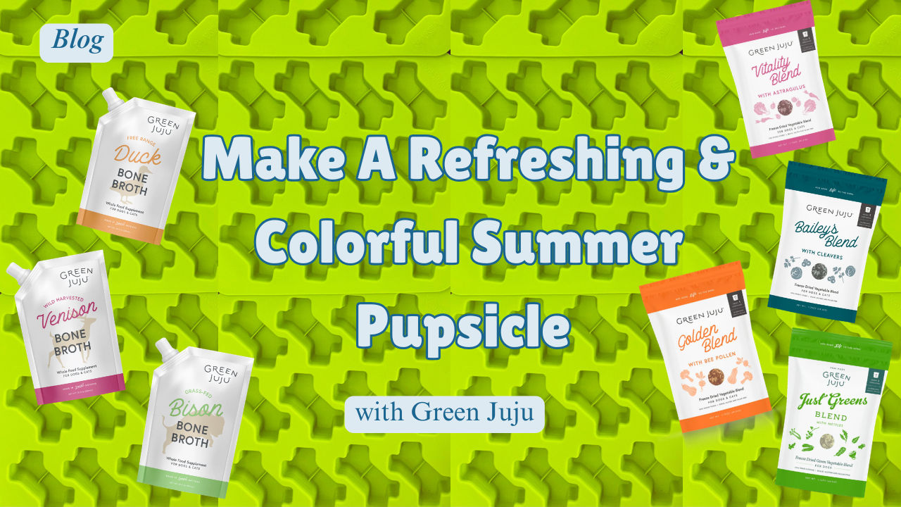 Make A Refreshing & Colorful Summer Pupsicle with Green Juju