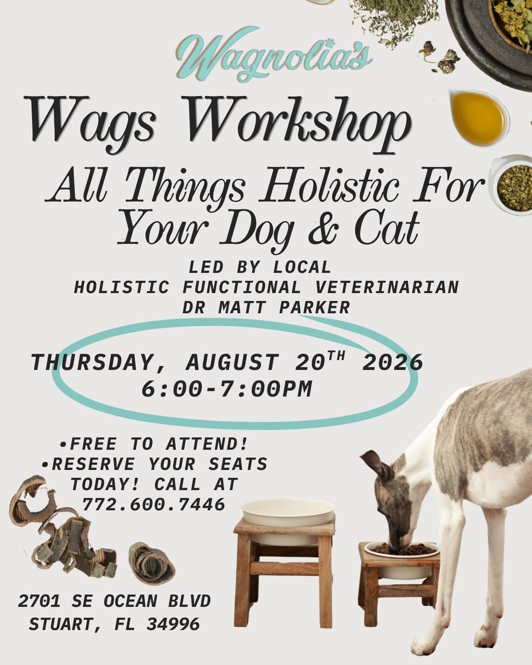Image of Local Pet Event Wags Workshop All Things Holistic For Your Dog and Cat Nearby