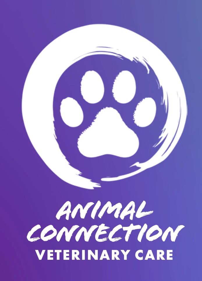 Image of Local Pet Event Meet Dr. Victoria Colby, DVM @ Last Thursday Nearby
