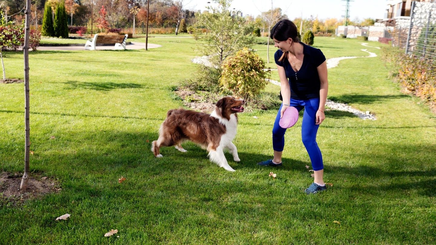 Pet Grooming in Kansas City