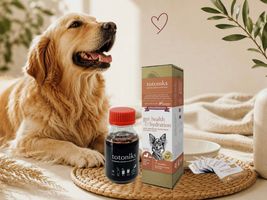Image of Save on Totoniks! Promotion in Sarasota