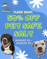 Image of FLASH SALE! 50% OFF Pet Safe Salt Promotion in Chicago