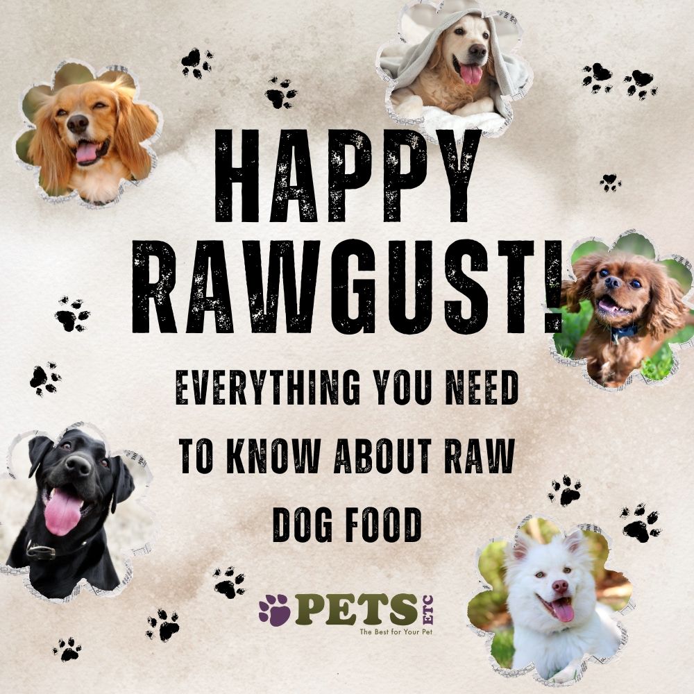 Happy Rawgust! Everything You Need to Know About Raw Dog Food