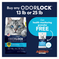 Image of Intersand | FREE Maxcare Granules with Qualifying Odorlock Purchase! Promotion in Sarasota