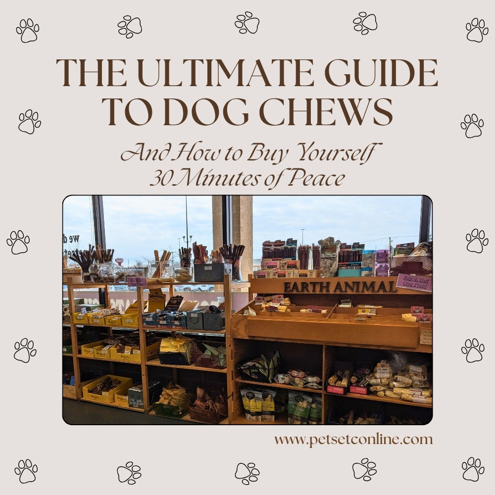 The Ultimate Guide to Dog Chews (And How to Buy Yourself 30 Minutes of Peace)
