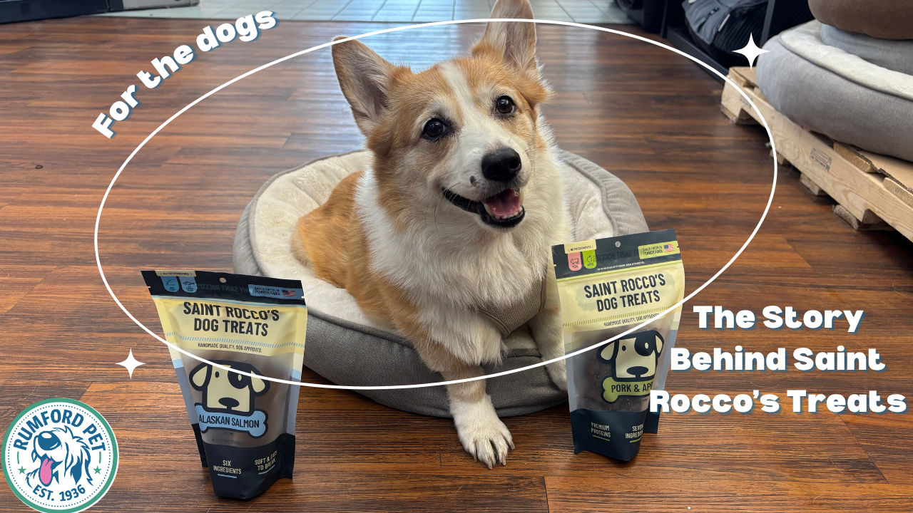 For the Dogs: The Story Behind Saint Rocco’s Treats