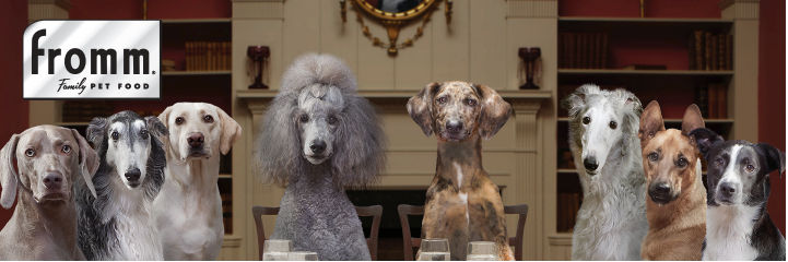 What Should You Look for in Your Dog’s Food and Treats?