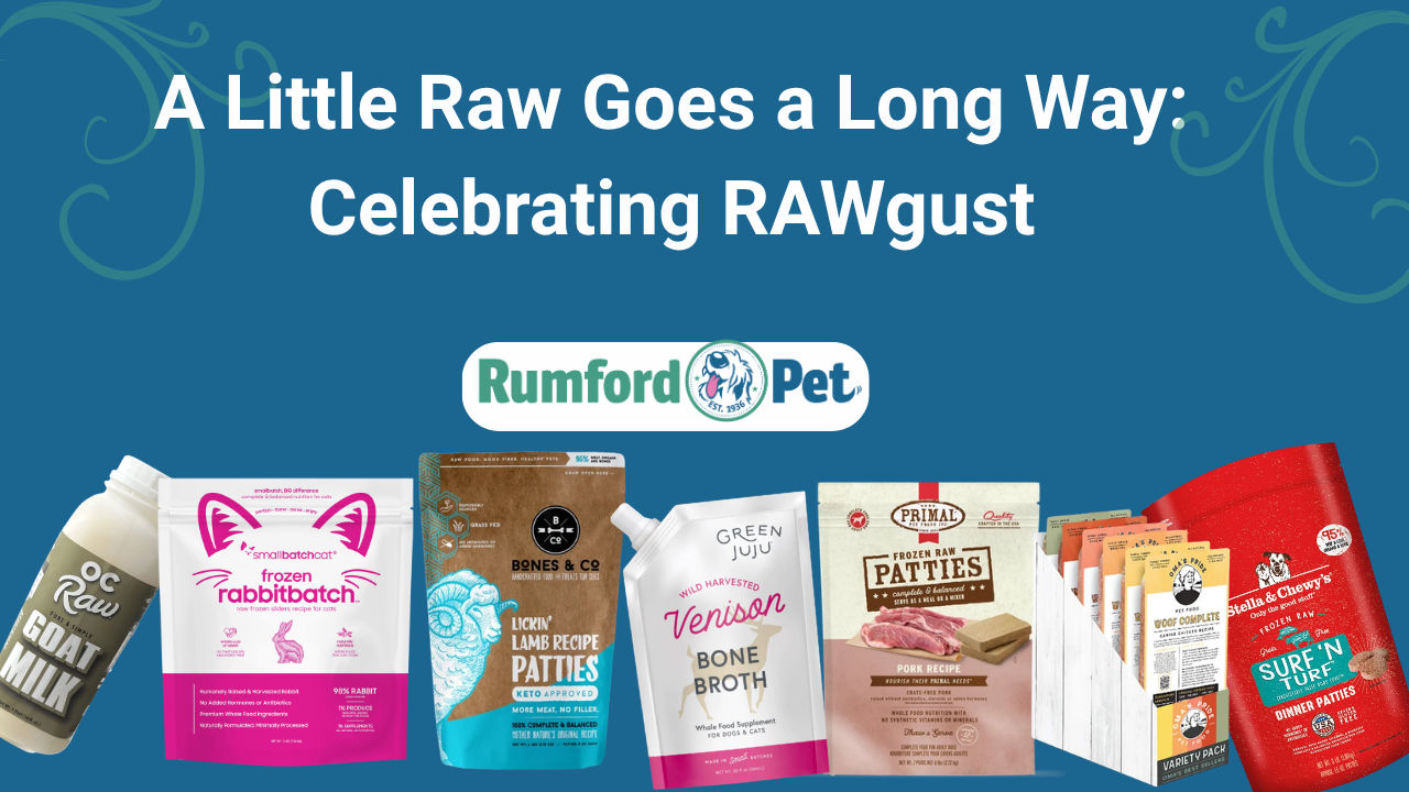 A Little Raw Goes a Long Way: Celebrating RAWgust