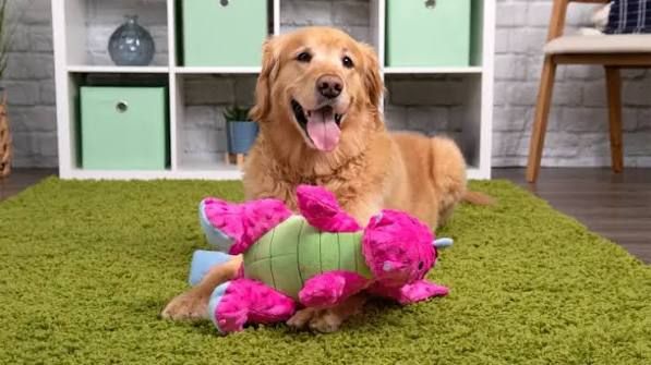 Why We Love goDog Toys: Cute, Tough & Made for Play