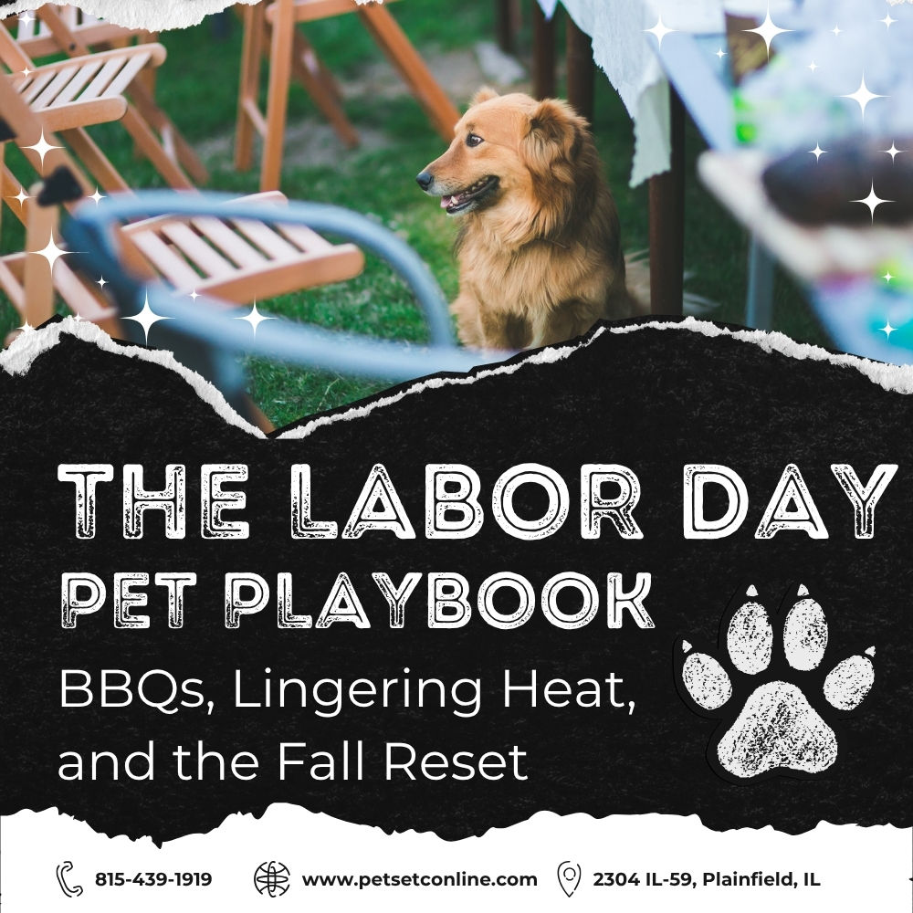 The Labor Day Pet Playbook: BBQs, Lingering Heat, and the Fall Reset