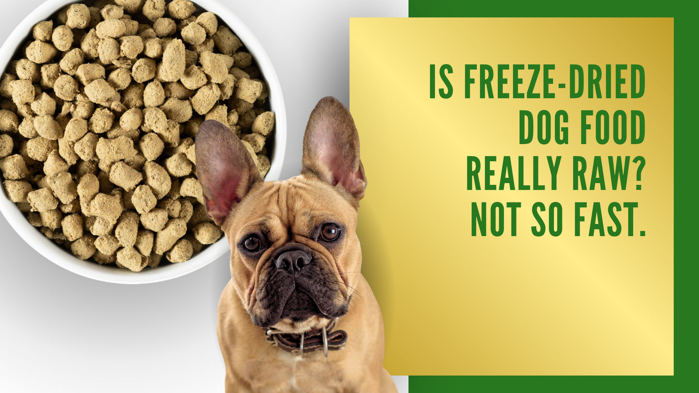 Is Freeze-Dried Dog Food Really Raw? Not So Fast.