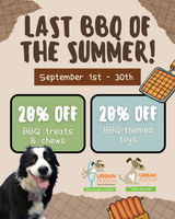 Image of Last Summer BBQ Sale Promotion in Chicago