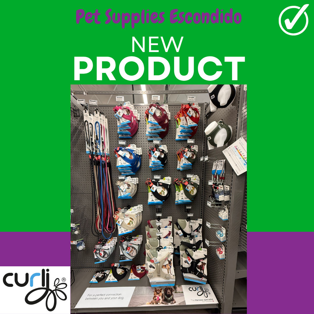 The Importance of Choosing the Right Collar (and Why We Love Curli Harnesses)