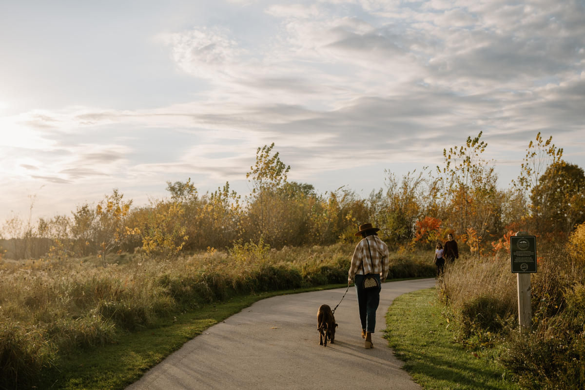 5 Things to Do With Your Dog This September in Northwest Indiana