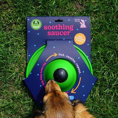 Stashios: Making Treat Time More Fun, Enriching & Delicious