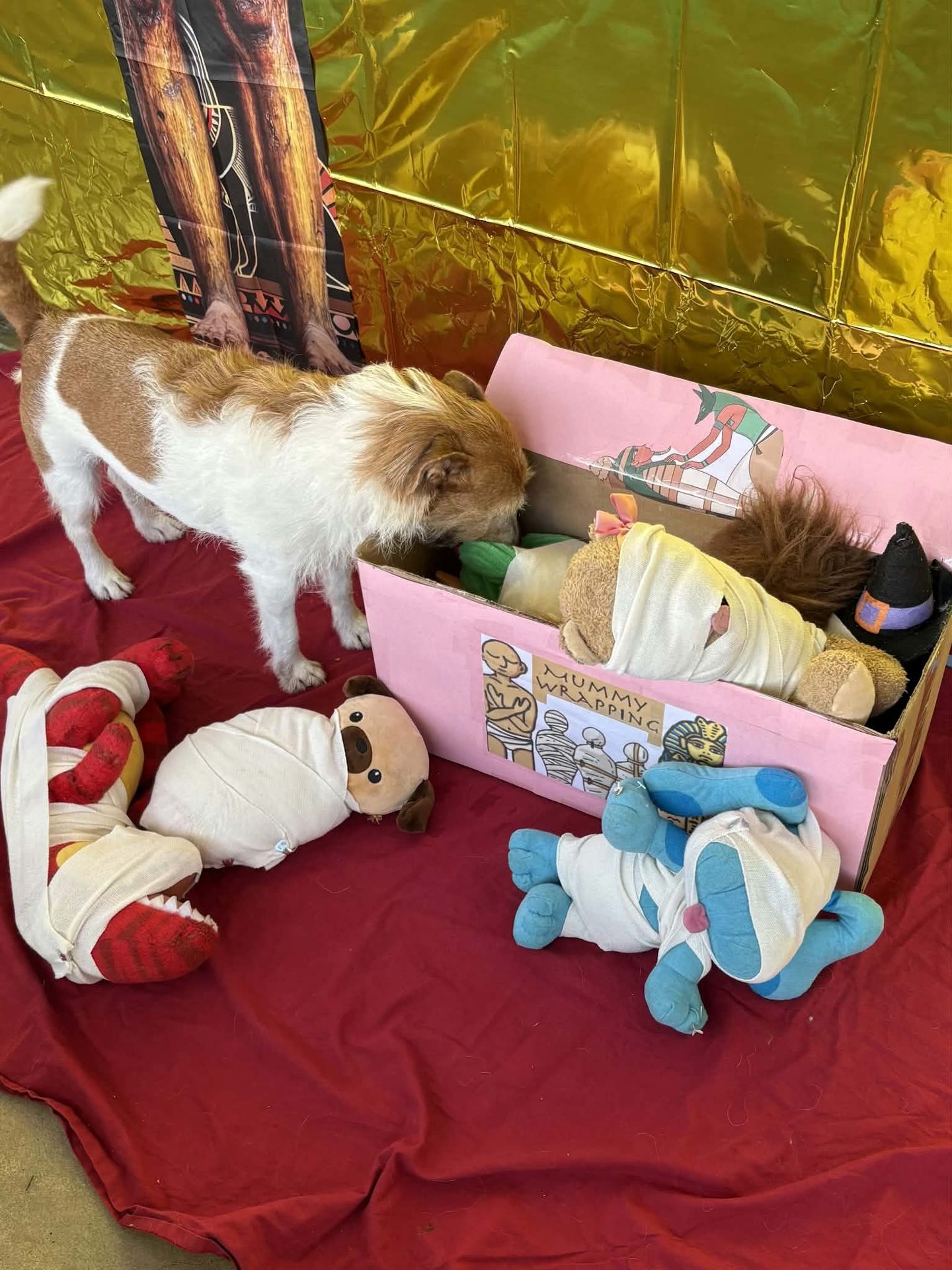 The Importance of Nose-Inspired Enrichment Activities
