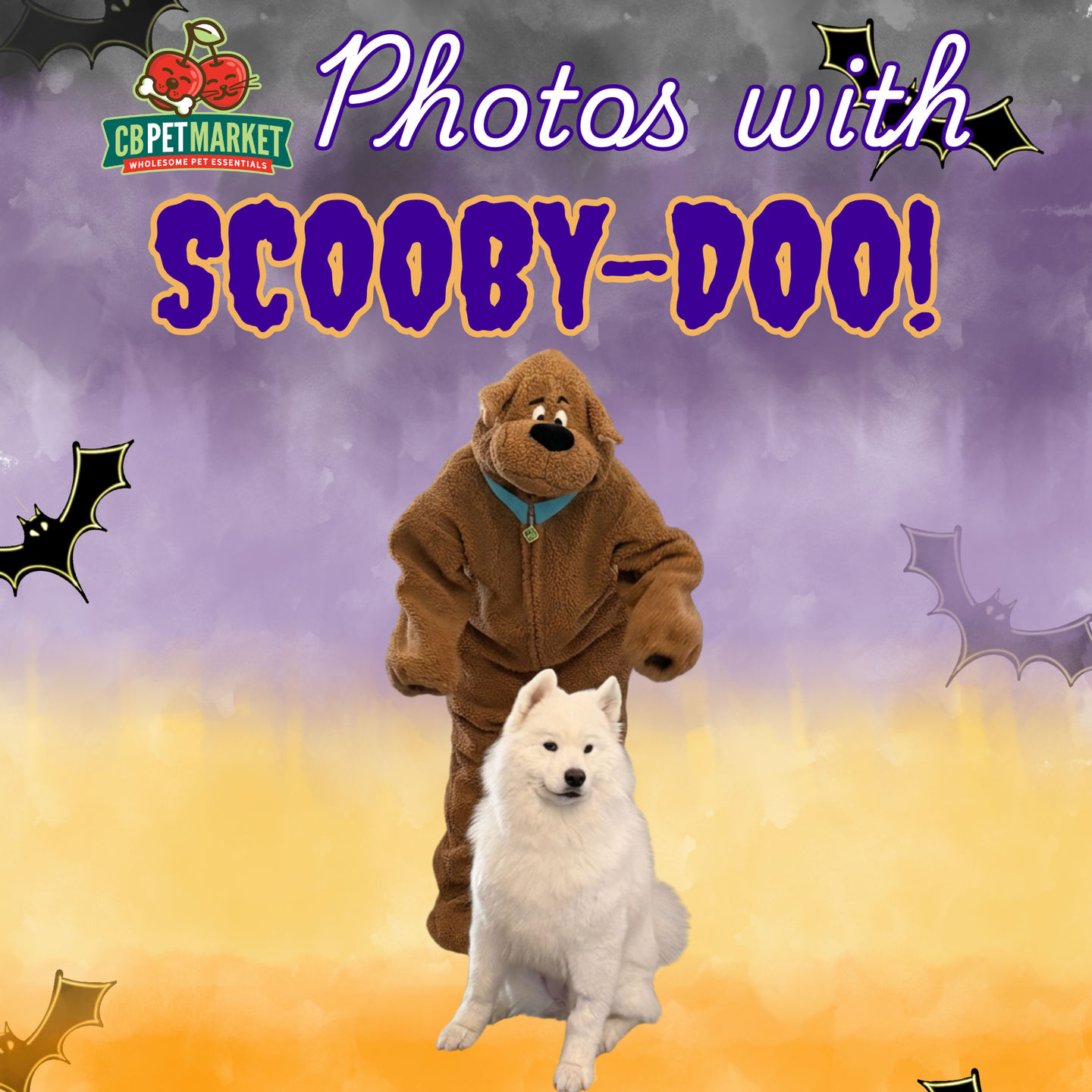 Image of Local Pet Event 🐾 PHOTOS WITH SCOOBY-DOOBY-DOO! 🎃 Nearby