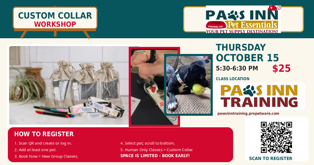 Image of Local Pet Event 🐾🎨 CUSTOM COLLAR WORKSHOP! 🎨🐾 Nearby