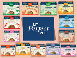 Image of 20% OFF My Perfect Pet! Promotion in Sarasota